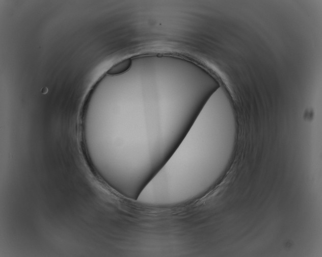 X0000091661467200708230939