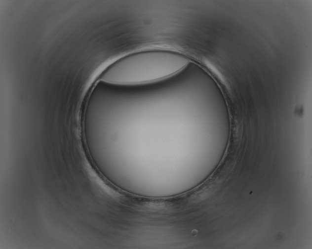 X0000091661468200708230939