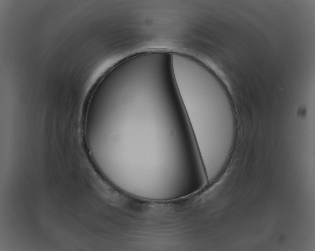 X0000091661469200708230939