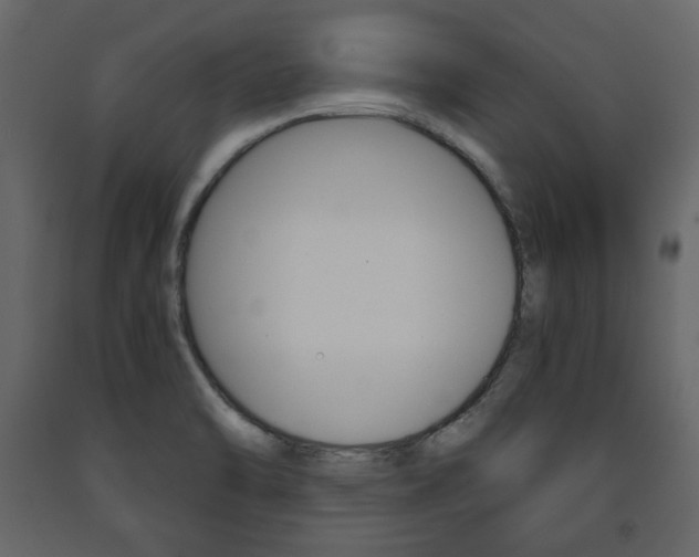 X0000091661470200708230939