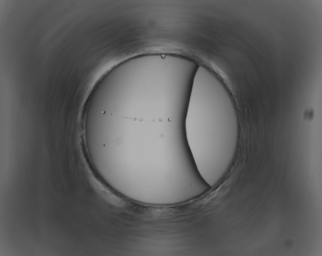 X0000091661471200708230939