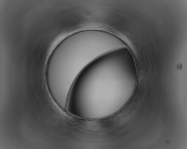 X0000091661472200708230939