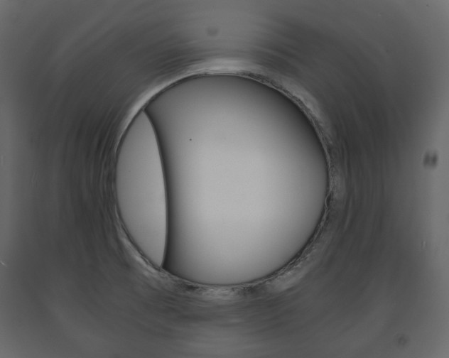 X0000091661473200708230939