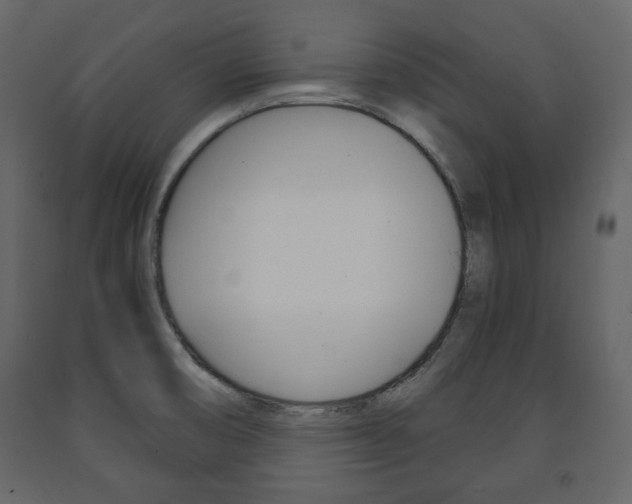X0000091661474200708230939