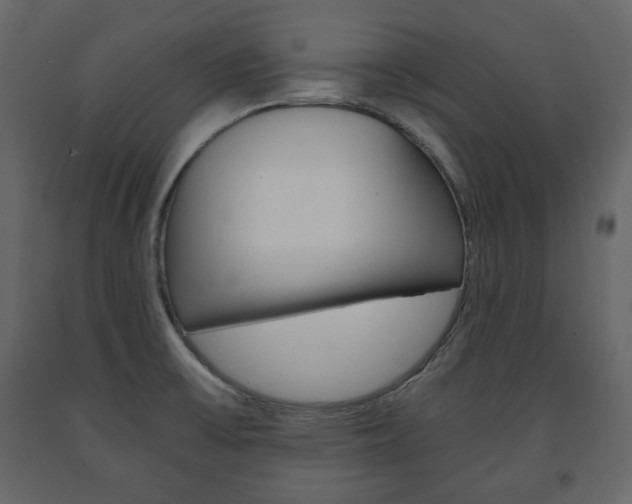 X0000091661475200708230939