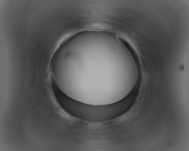 X0000091661477200708230939