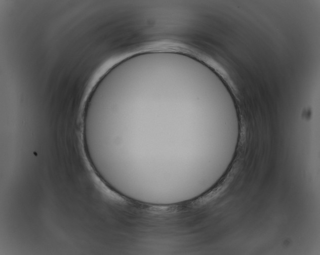 X0000091661478200708230939
