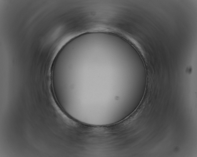 X0000091661479200708230939