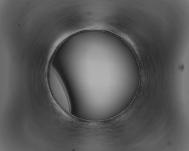 X0000091661480200708230939