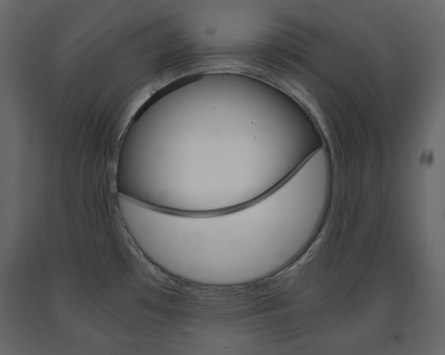X0000091661481200708230939