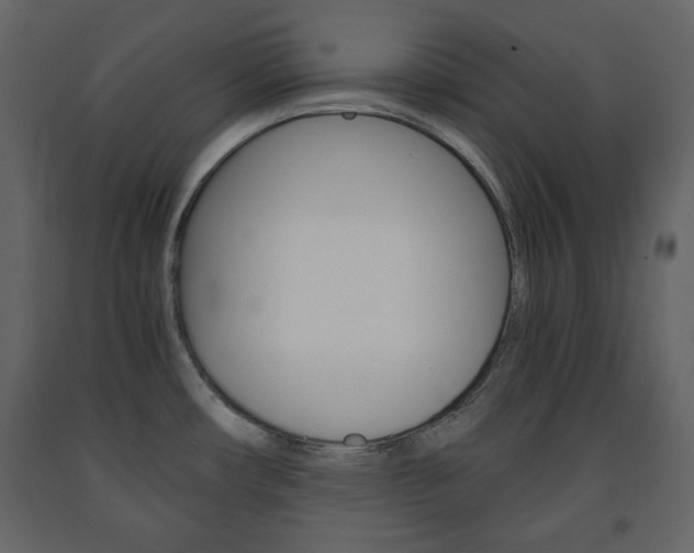 X0000091661482200708230939