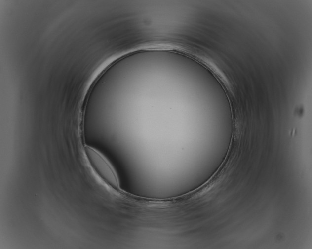 X0000091661484200708230939