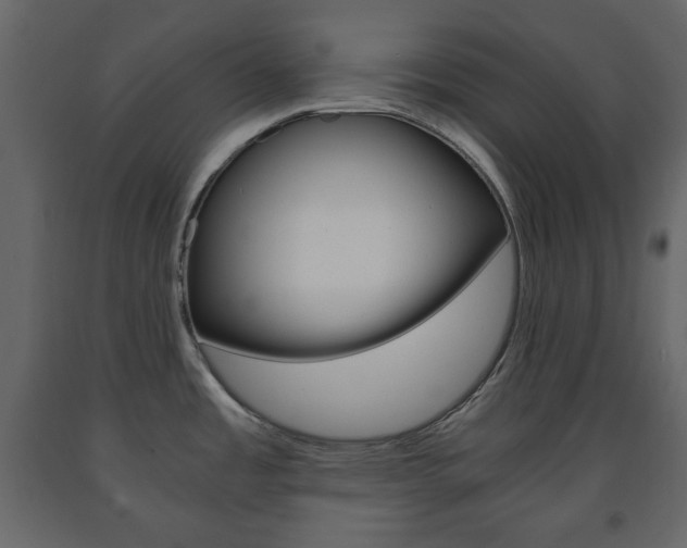 X0000091661485200708230939