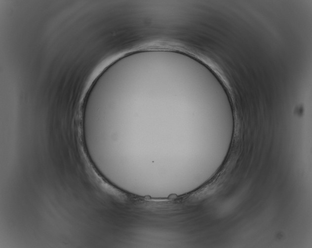 X0000091661486200708230939