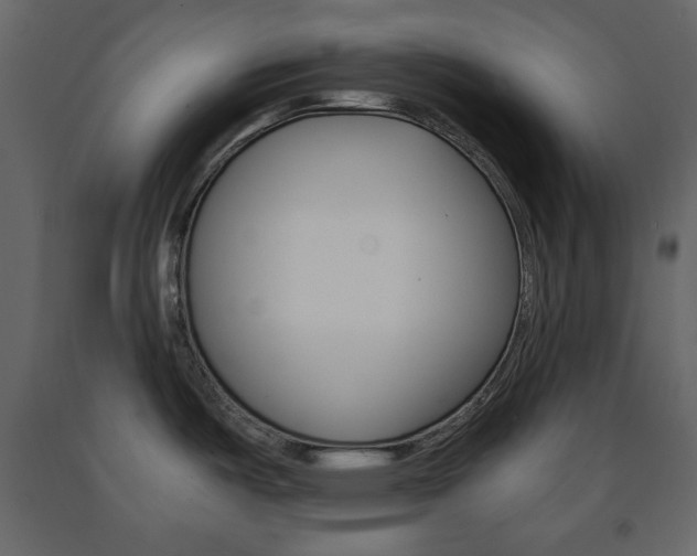 X0000091661487200708230939