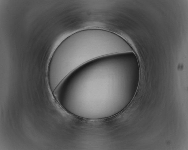 X0000091661488200708230939