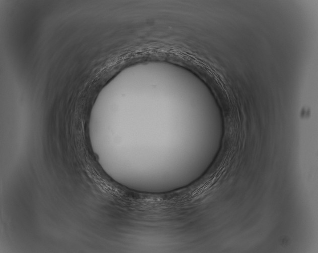 X0000091661489200708230938