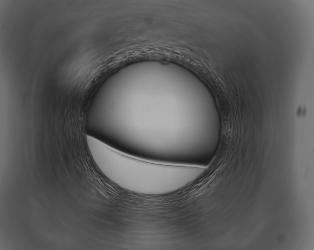 X0000091661490200708230938