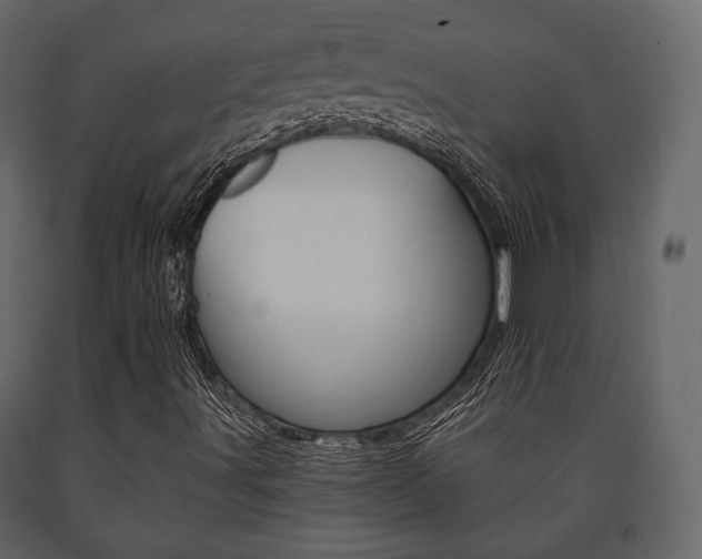 X0000091661491200708230938