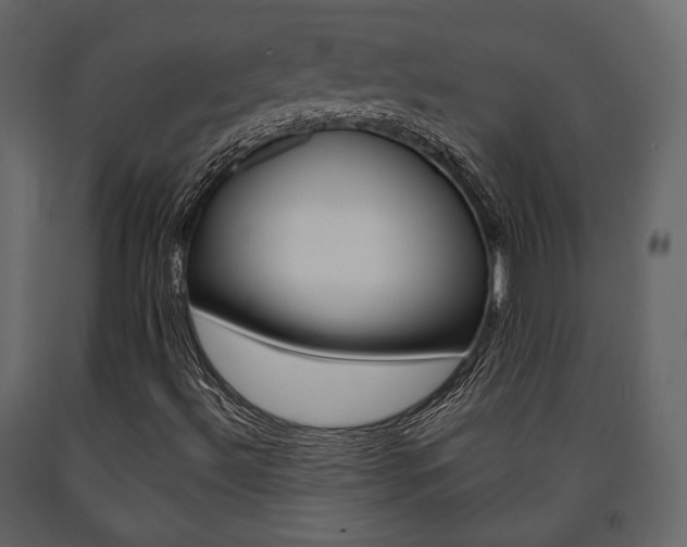 X0000091661492200708230938
