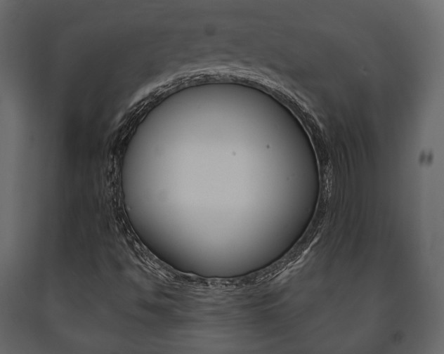 X0000091661494200708230938