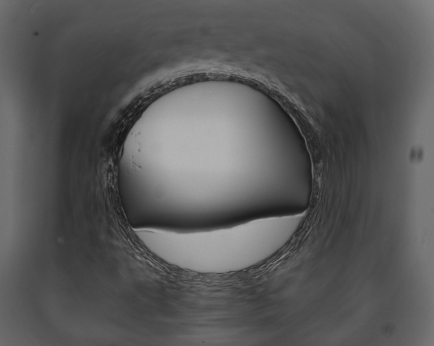 X0000091661495200708230938