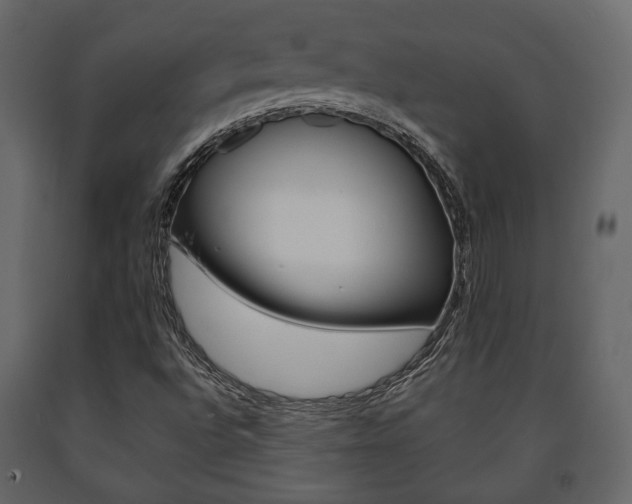 X0000091661496200708230938