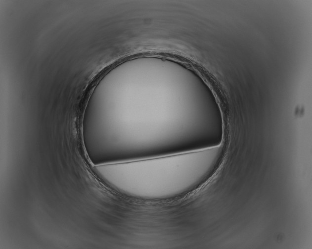 X0000091661497200708230938