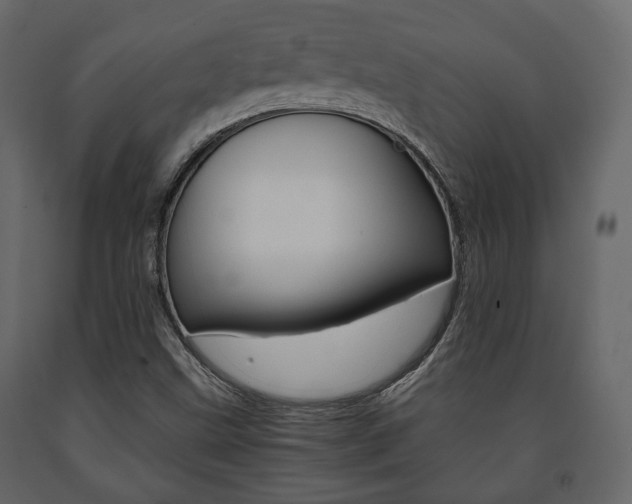 X0000091661499200708230938