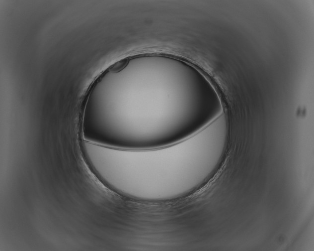 X0000091661500200708230938
