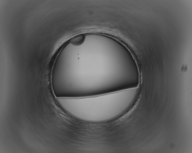 X0000091661501200708230938