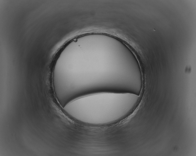 X0000091661502200708230938