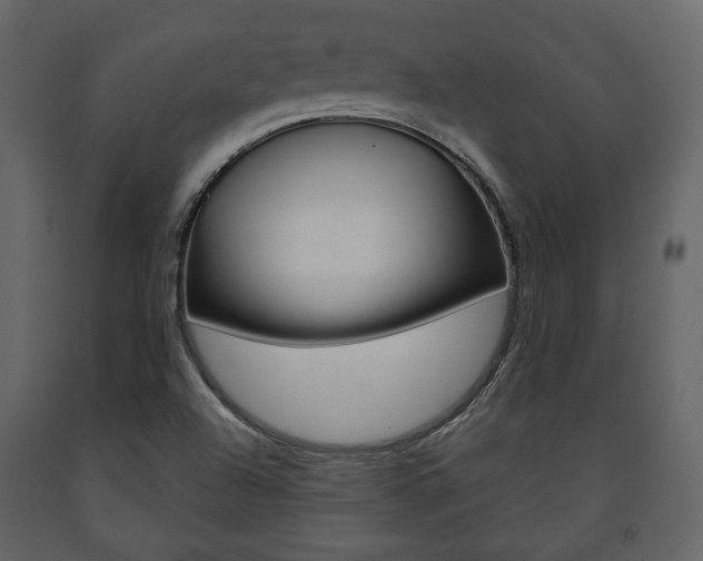 X0000091661504200708230938