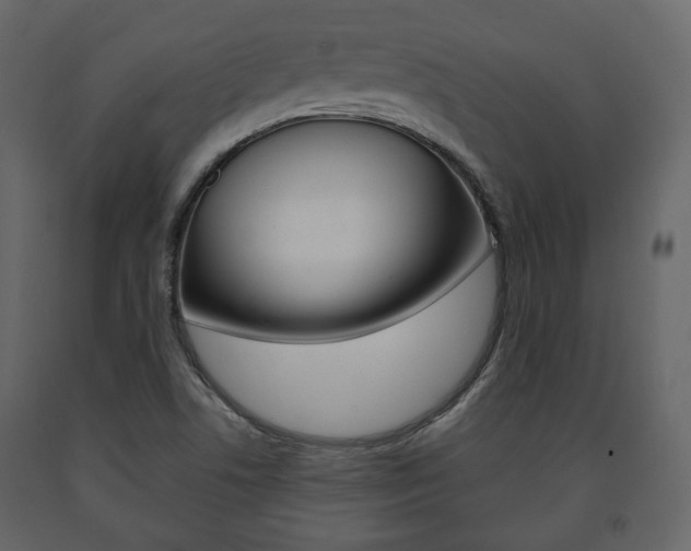 X0000091661506200708230938