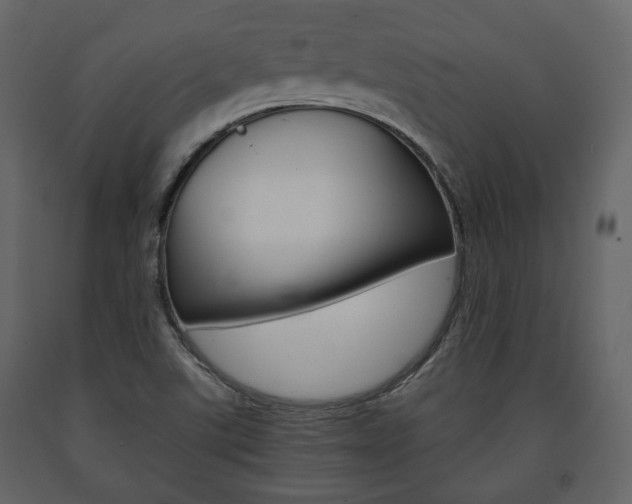X0000091661507200708230938