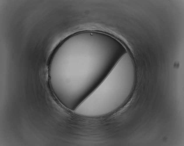X0000091661509200708230938
