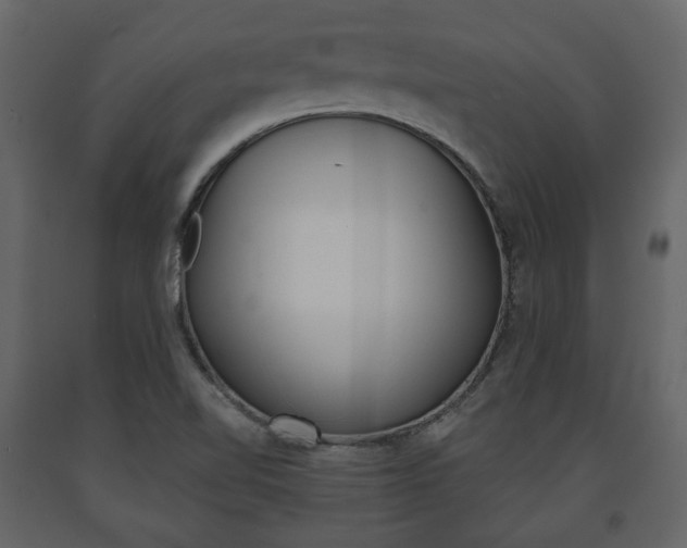 X0000091661510200708230938