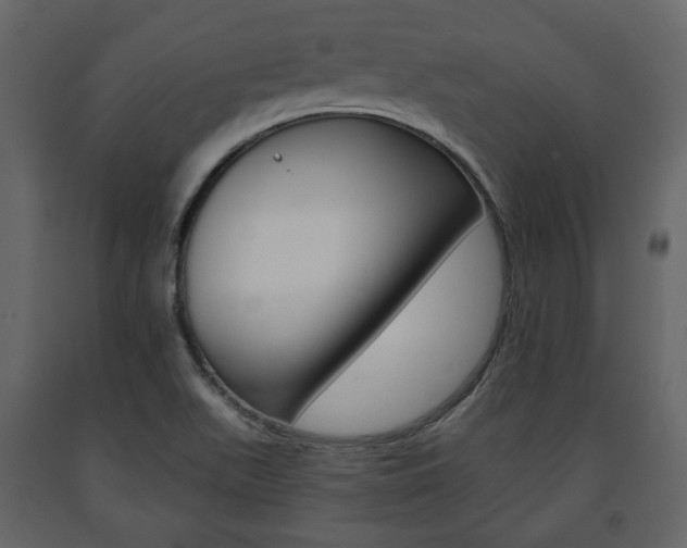 X0000091661511200708230938