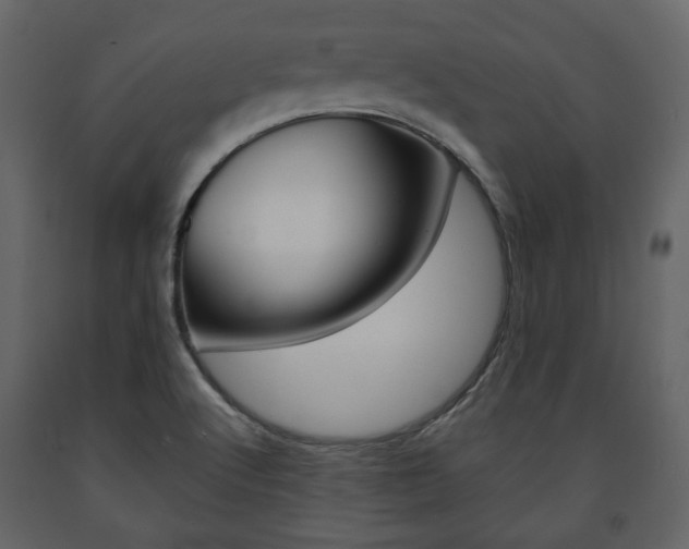 X0000091661512200708230938