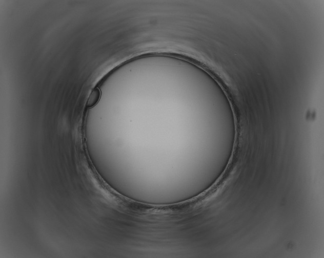 X0000091661513200708230938