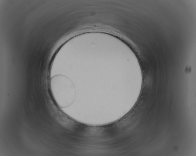 X0000091661514200708230938