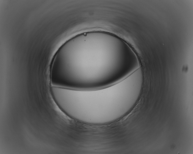 X0000091661516200708230938