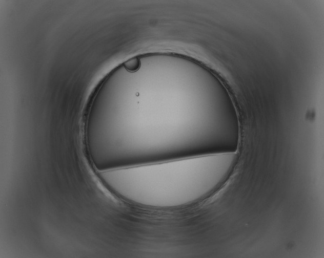 X0000091661517200708230938