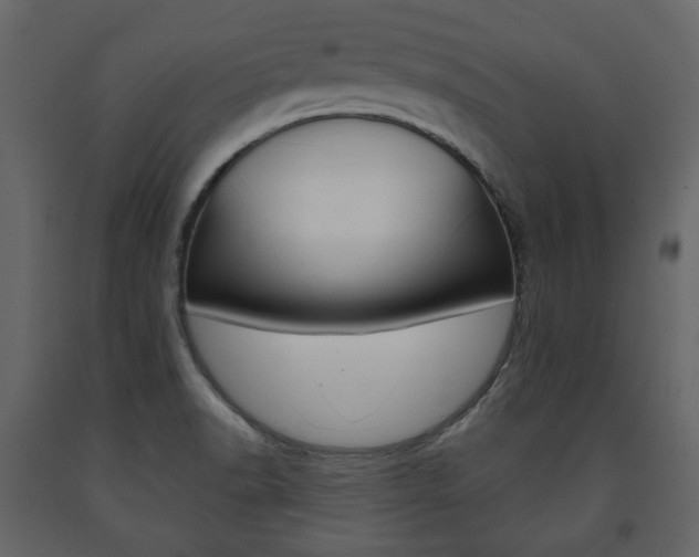 X0000091661518200708230938