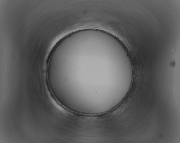 X0000091661519200708230938