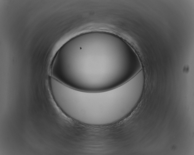 X0000091661520200708230938