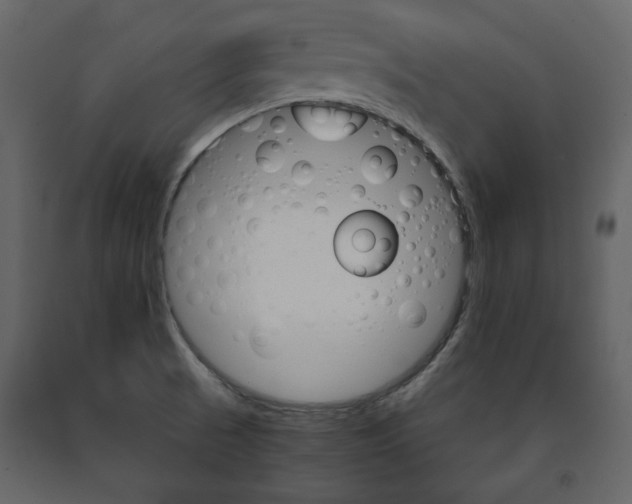 X0000091661521200708230939