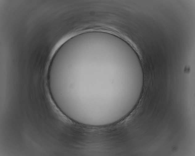 X0000091661522200708230939