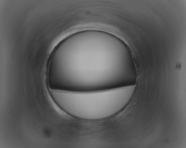 X0000091661523200708230939