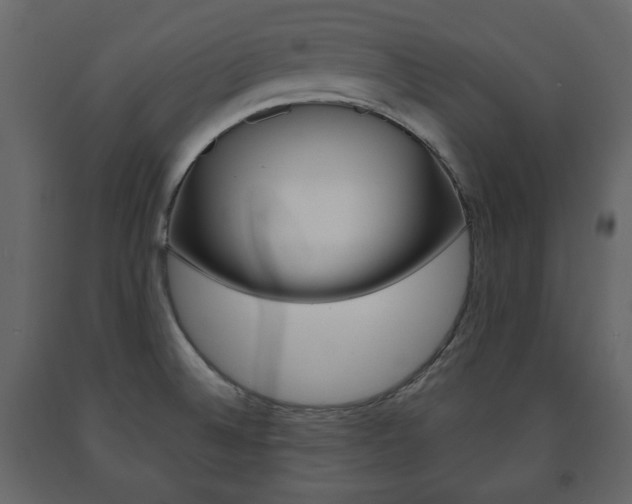 X0000091661524200708230939